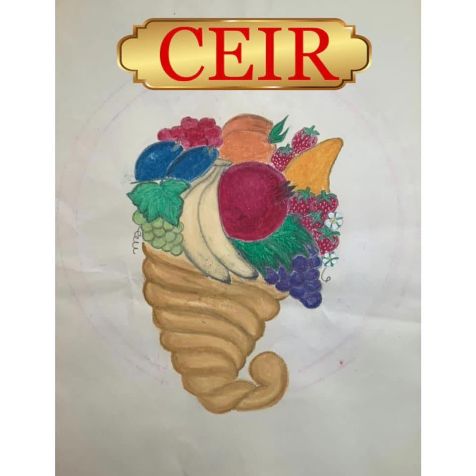 Centre for Education and Innovation Research logo